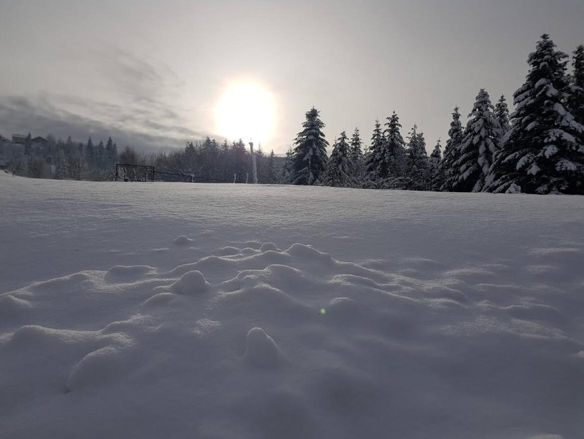 Agroturystyka Koronkowe Zacisze Koniaków Exterior foto