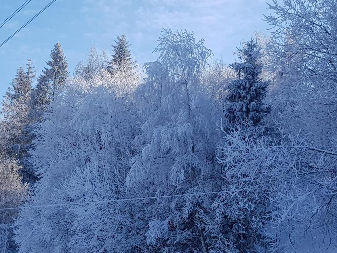 Agroturystyka Koronkowe Zacisze Koniaków Exterior foto